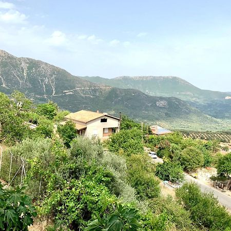 Τequila Sunrise Apartment Ágios Pétros Exterior photo